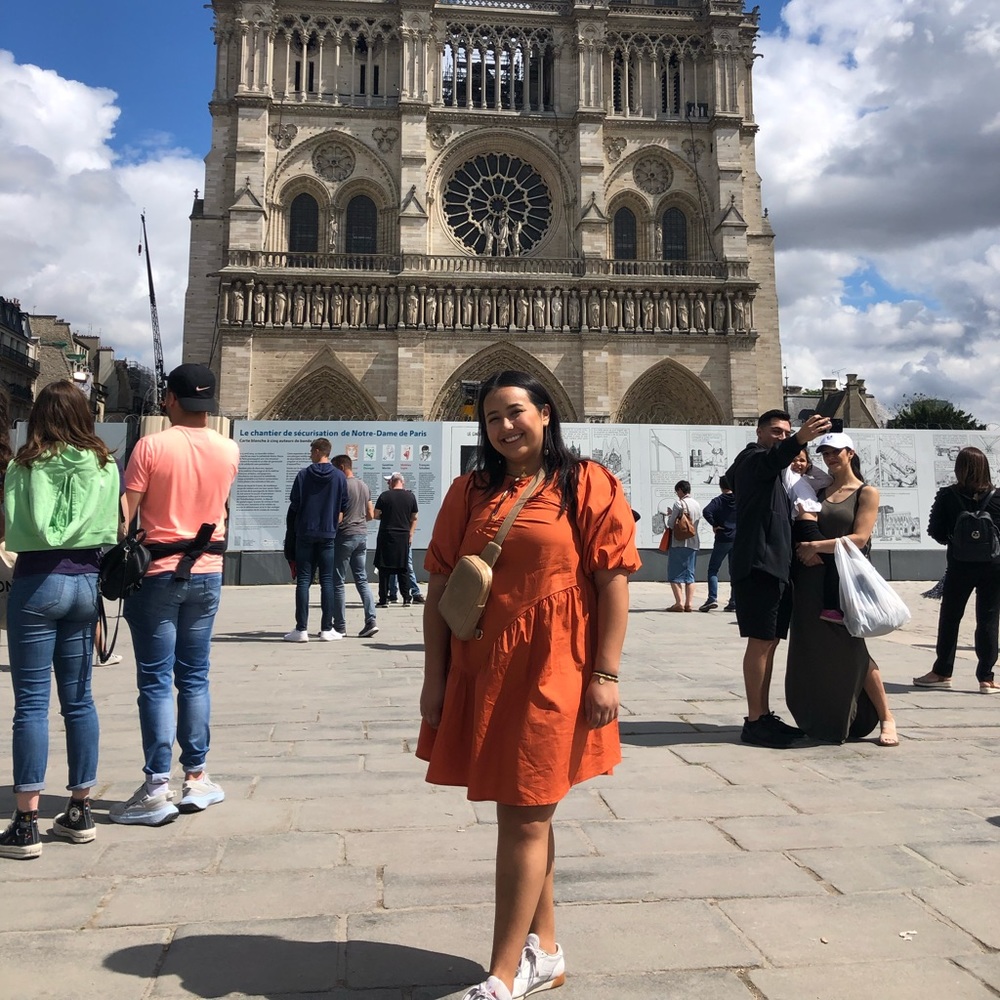 Burnt Orange Smock Dress- Missguided, Size: 12